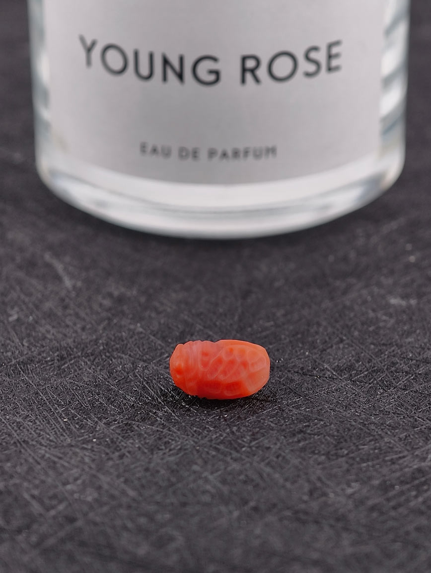 Natural South Red Agate Golden Toad DIY Accessory