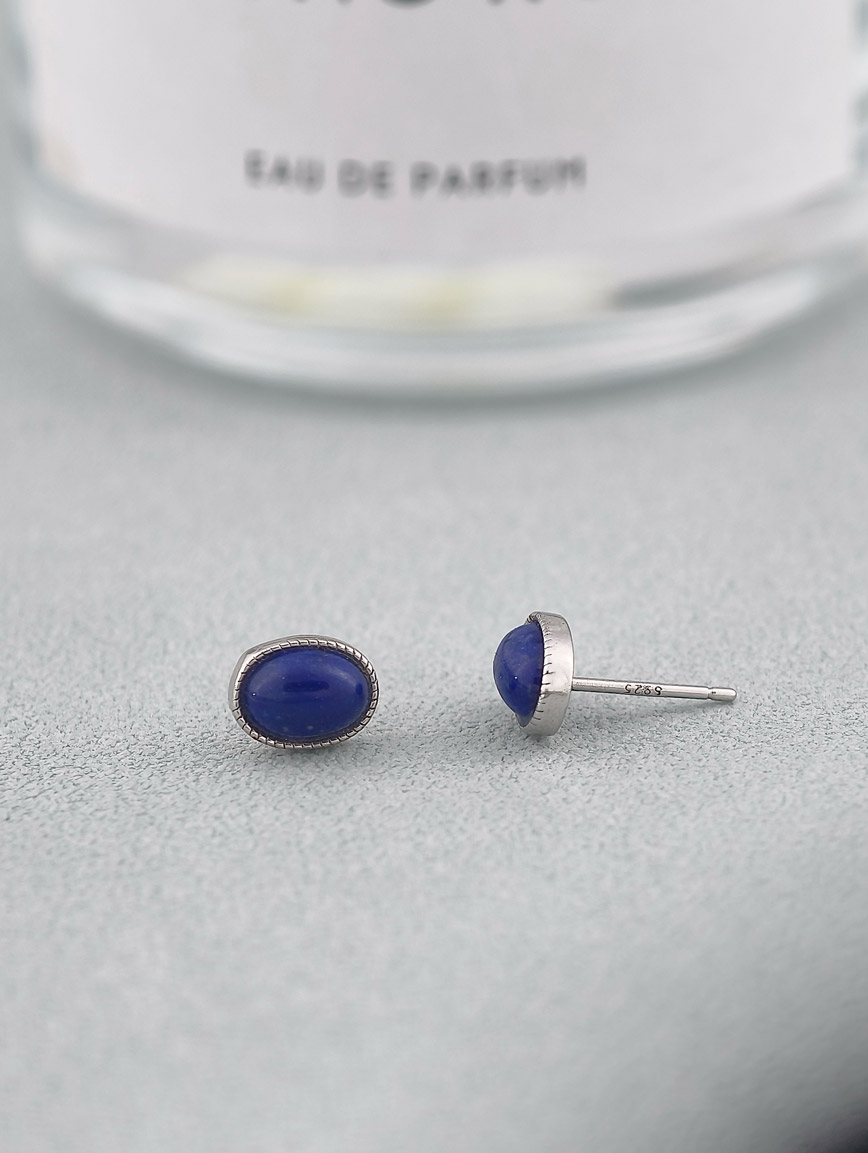 Natural Lapis Lazuli Simple Style Earrings