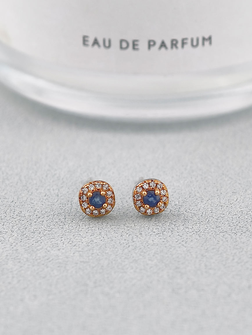 Natural Sapphire Exquisite Style Sterling Silver Earrings