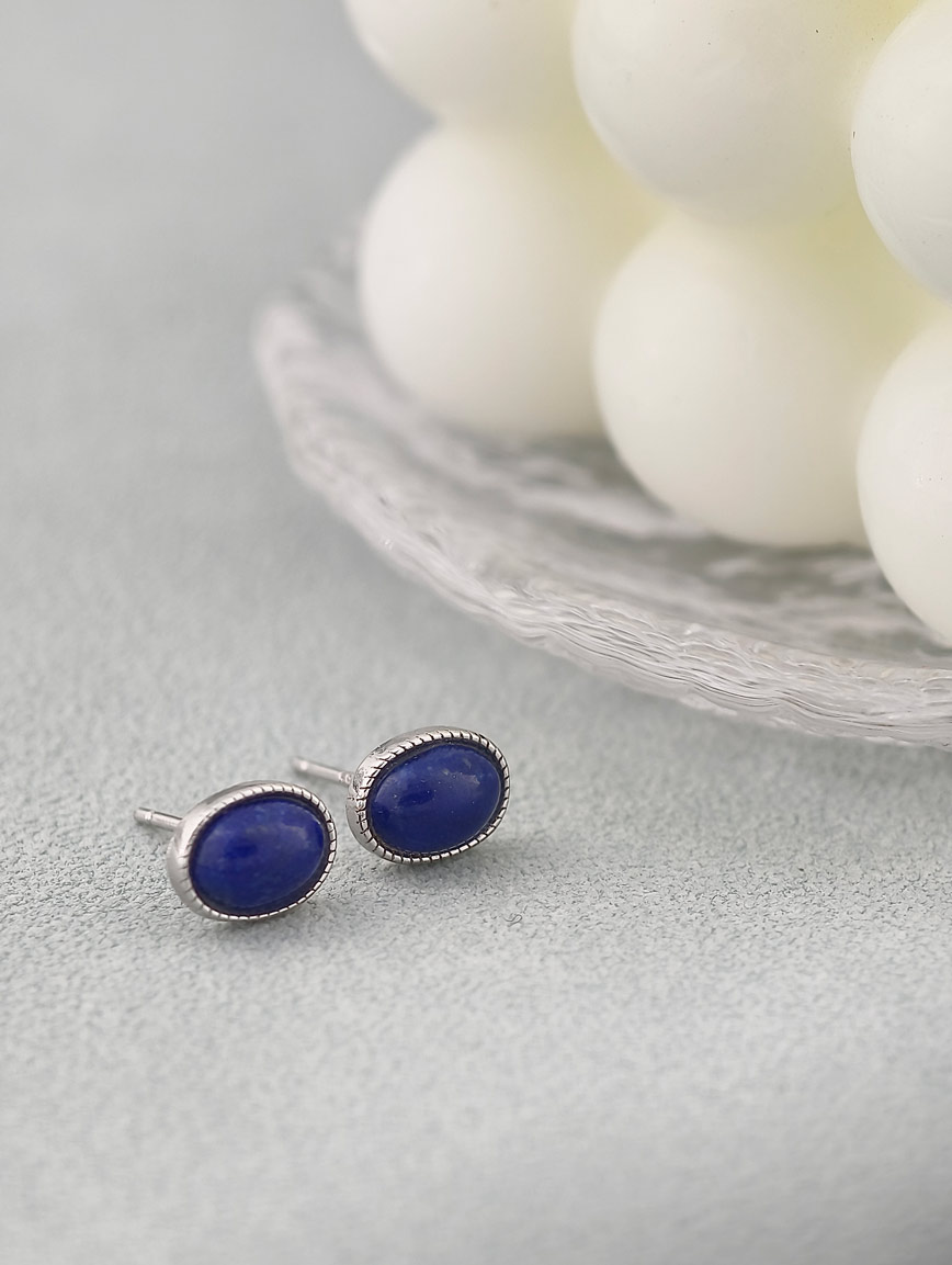 Natural Lapis Lazuli Simple Style Earrings