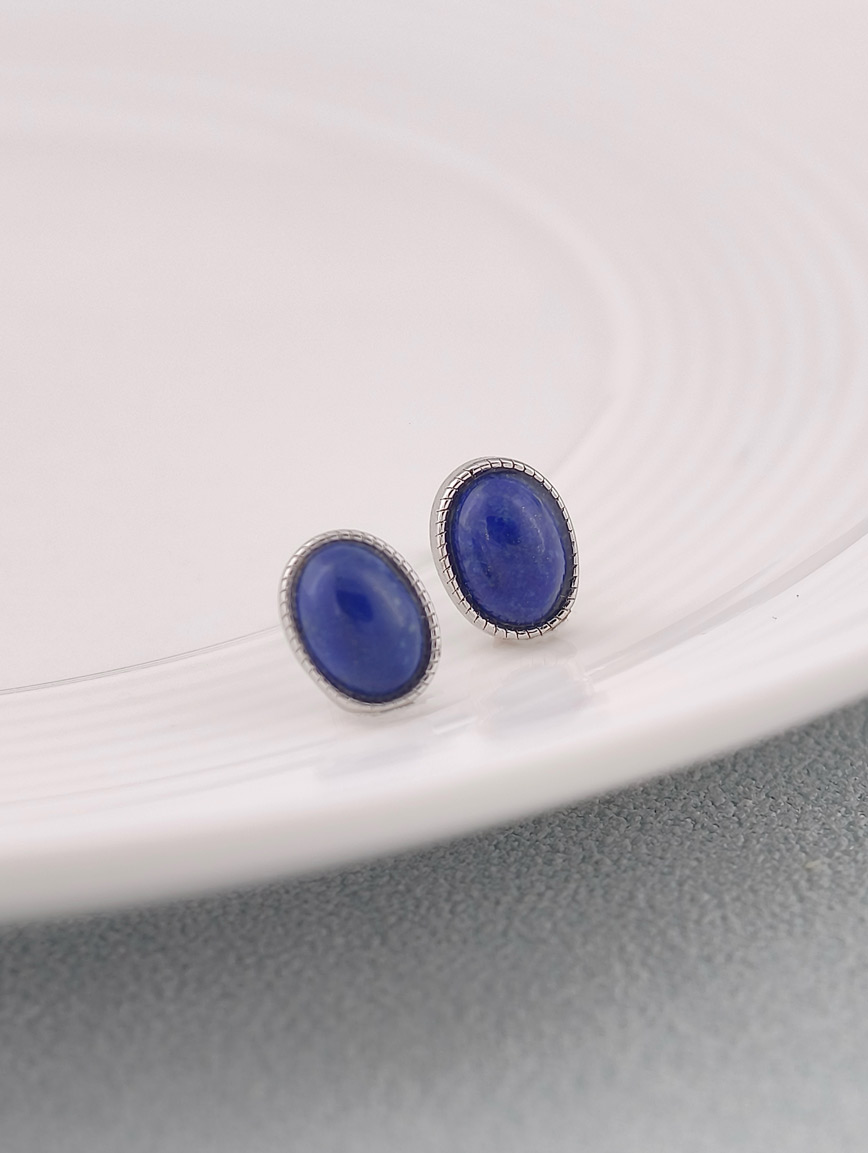 Natural Lapis Lazuli Simple Style Earrings