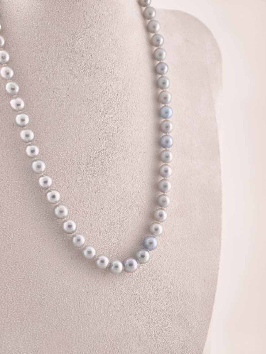Gray Akoya Seawater Pearl Necklace